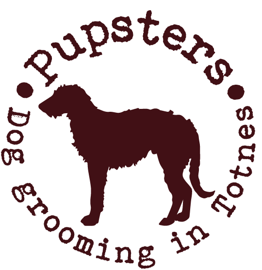 pupsters-dog-grooming