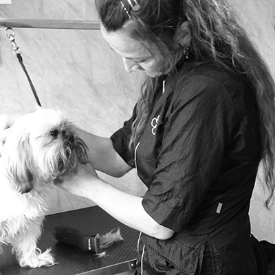 rach_groom_new